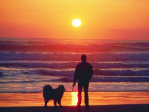 Dog and Man at ocean sunset
