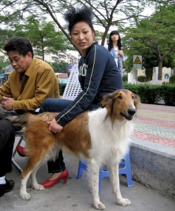 Dog ownership was until recently an unusual practice in China.
