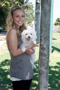 Hayden Panettiere, a beautiful friend to animals of all kinds.