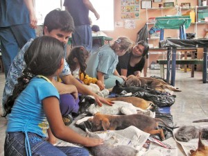 Mckee to Life saves shelters in Costa Rica
