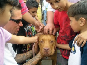 pets-in-the-Pets in the Hood, where downtrodden people and Pit bulls rehabilitate one another