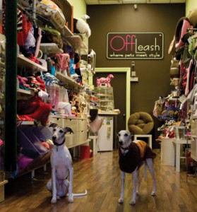 OffLeash is where pets meet with style, and you may run into a Whippet or two. Photos by Ian Vorster and Cassidy Zellmann, Brooks Institute of Photography