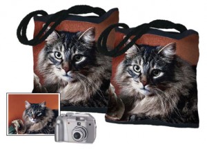 AF_spring08_vol34_travel_p58_feature_a_treasureknit_cat-tote-bags_v2
