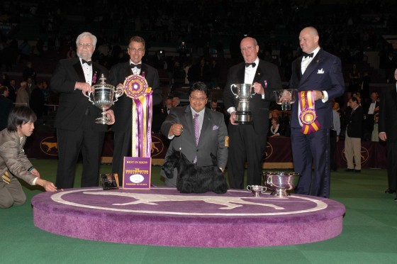 2010 Westminster Kennel Club Dog Show Best in Show
