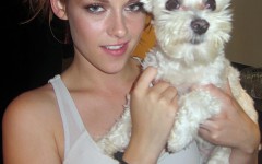 Lucky contemplates giving Twilight star, KRISTEN STEWART a nibble on the neck.