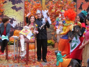Join us on the NBC Today Show for Howloween!