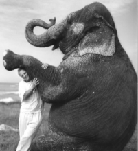 "Ele-dating" pairs animal lovers with elephants in need.