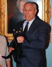 Colin Powell the cat, with Colin Powell the statesman!